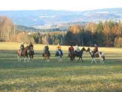 Reiter auf der Wiese